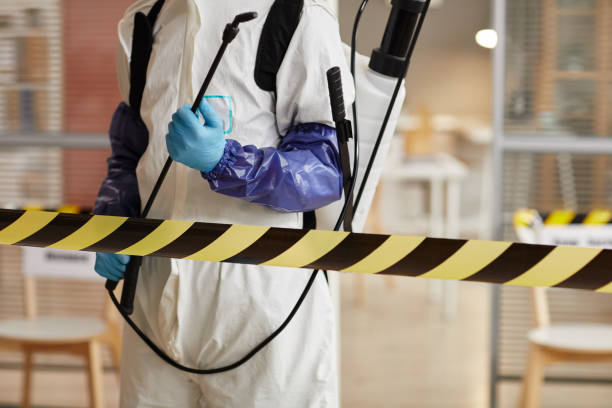 Professional Sewage Cleanup technician working in Cupertino, CA